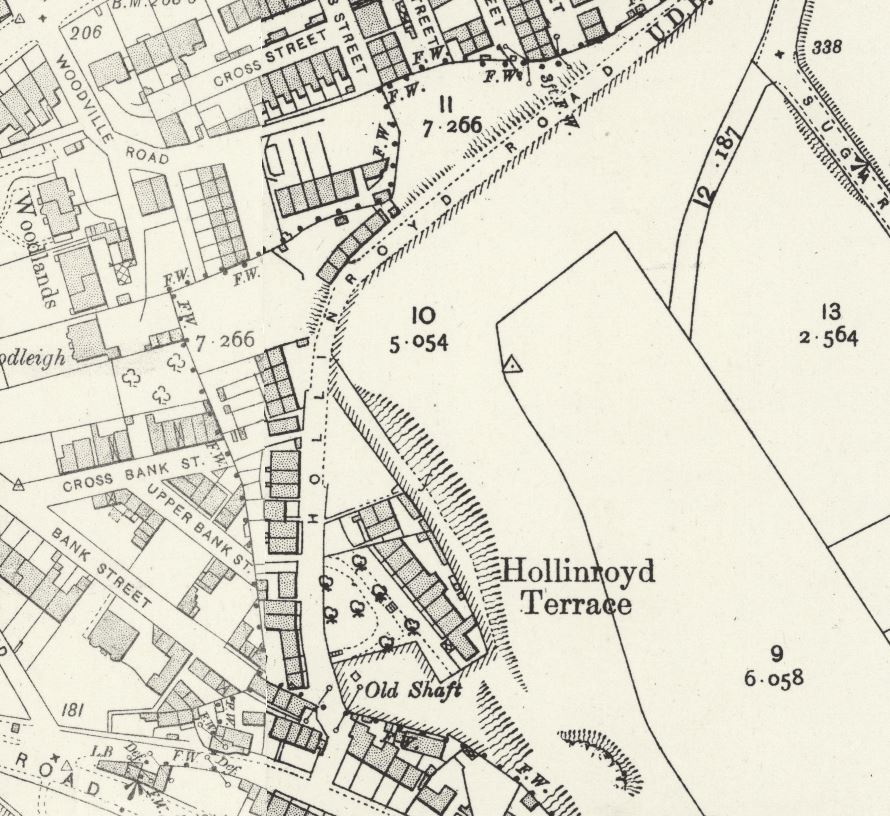 Maps Dewsbury - Kirklees Cousins